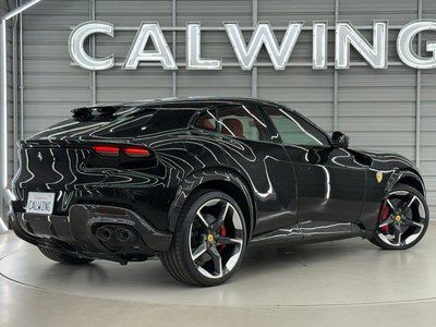 2025 Ferrari PUROSANGUE — миниатюра 29