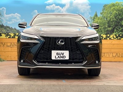 2025 Lexus NX — фото 14