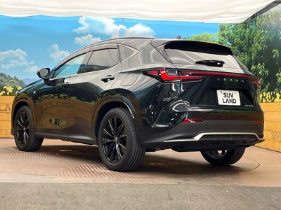2025 Lexus NX — фото 23