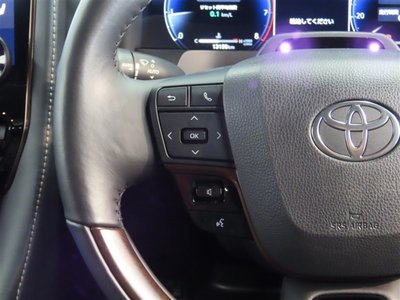 2023 Toyota ALPHARD 缩略图 33