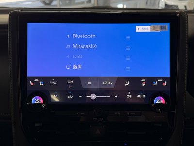 2024 Toyota ALPHARD — фото 13