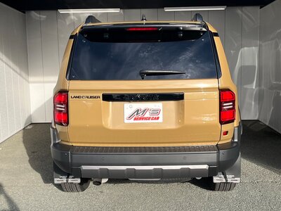 2024 Toyota LAND CRUISER 250 照片 6