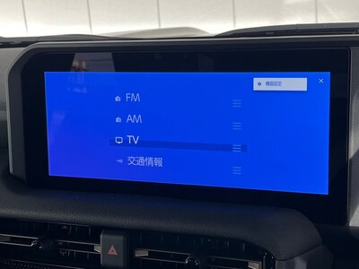 2024 Toyota LAND CRUISER 250 照片 15