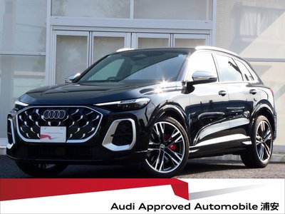 2025 AUDI SQ5 photo 1