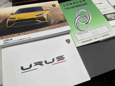 2019 Lamborghini URUS — фото 59