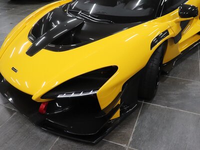  Mclaren SENNA photo 9