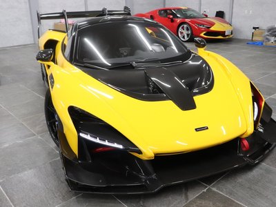 Mclaren SENNA photo 12