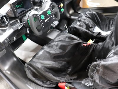  Mclaren SENNA photo 38
