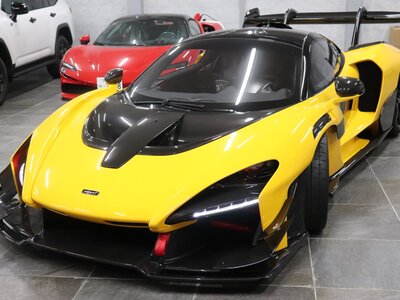  Mclaren SENNA photo 1