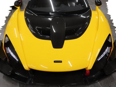  Mclaren SENNA photo 6