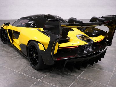  Mclaren SENNA photo 15