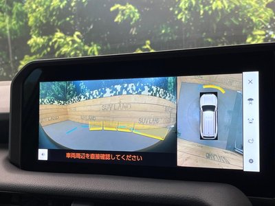 2024 Toyota LAND CRUISER 250 照片 5