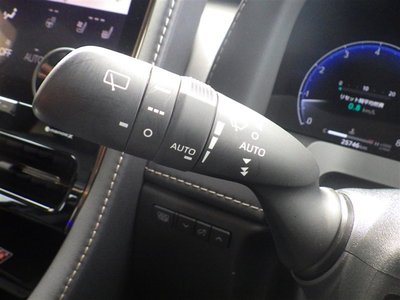 2024 Toyota ALPHARD 照片 19