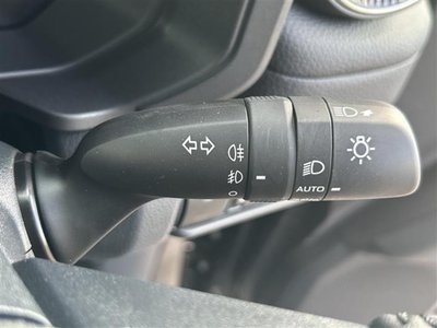 2025 Toyota LAND CRUISER 250 照片 24