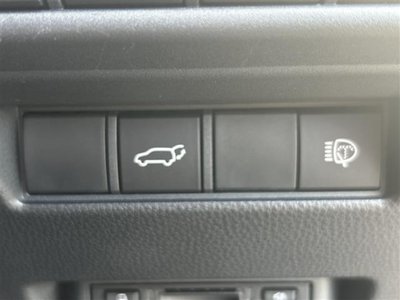 2025 Toyota LAND CRUISER 250 照片 10