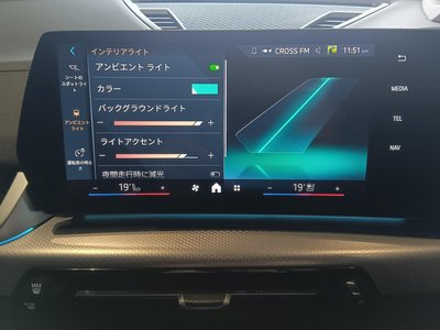 2025 BMW X2 缩略图 31