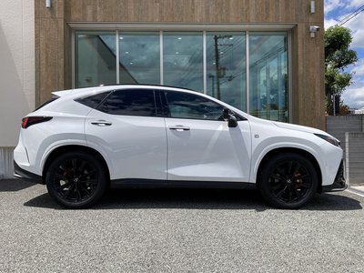 2025 Lexus NX thumbnail 31