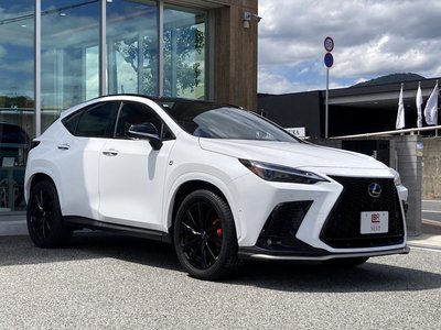 2025 Lexus NX thumbnail 30