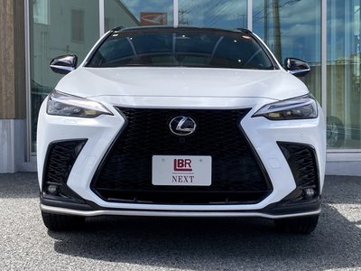 2025 Lexus NX thumbnail 29