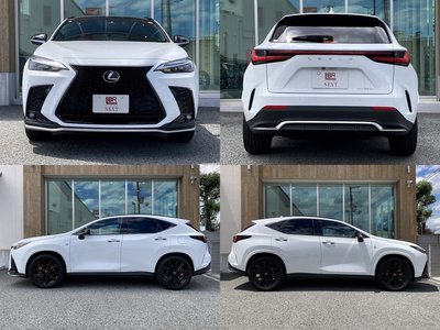 2025 Lexus NX thumbnail 21