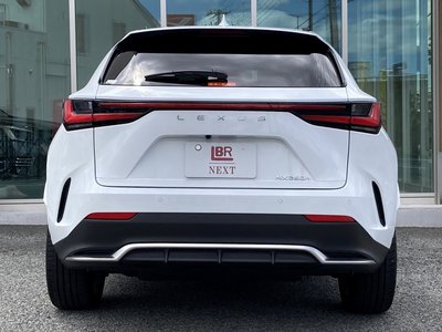2025 Lexus NX thumbnail 33