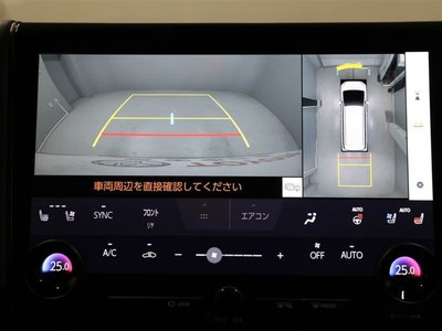 2025 Toyota ALPHARD — фото 23