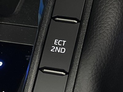 2025 Toyota LAND CRUISER 250 照片 29