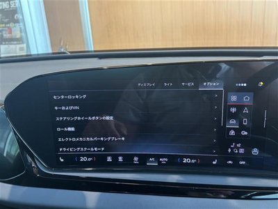 2025 AUDI A5 AVANT 照片 13