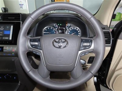 2024 Toyota LAND CRUISER PRADO 照片 12