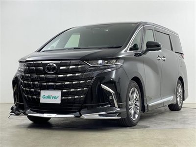 2025 Toyota ALPHARD 照片 29
