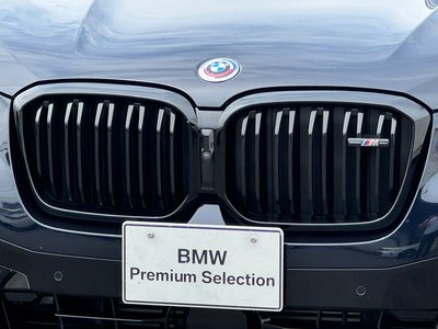 صورة 9 لـ 2023 BMW X3