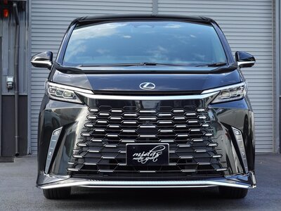 2024 Lexus LM photo 4