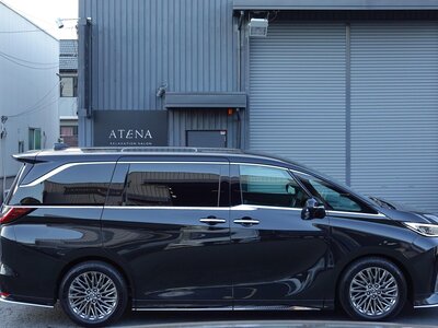 2024 Lexus LM photo 8
