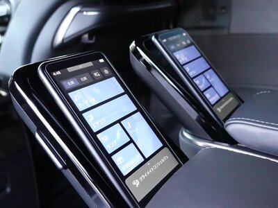 2024 Lexus LM photo 46
