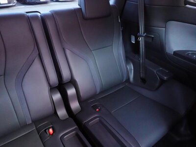 2024 Lexus LM photo 62