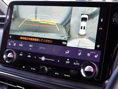 2024 Lexus LM photo 24