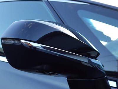 2024 Lexus LM photo 15