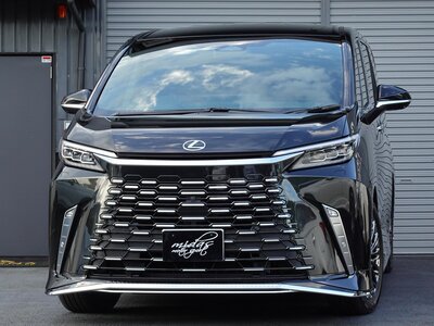 2024 Lexus LM photo 1