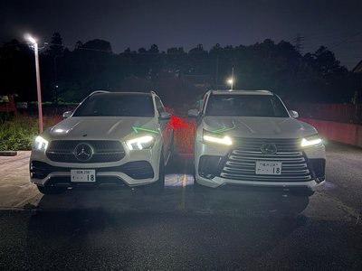 صورة مصغرة 30 لـ 2020 Mercedes-BENZ GLE