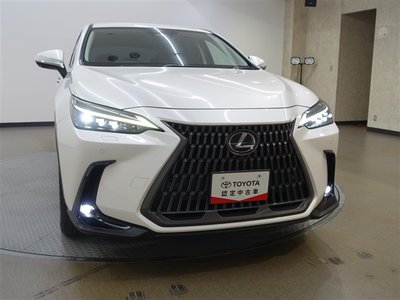 صورة 32 لـ 2023 Lexus NX