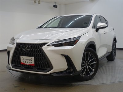 صورة 6 لـ 2023 Lexus NX