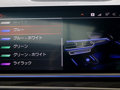 2021 BMW X6 thumbnail 67