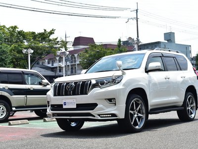 2021 Toyota LAND CRUISER PRADO — фото 35