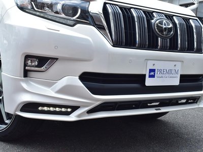 2021 Toyota LAND CRUISER PRADO — фото 18