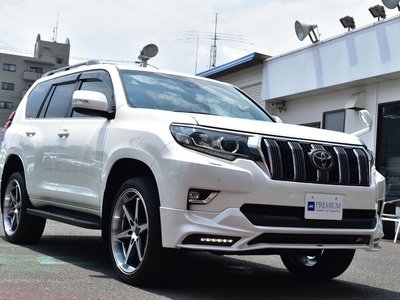 2021 Toyota LAND CRUISER PRADO — фото 31