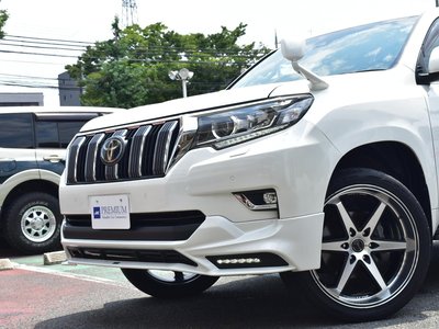 2021 Toyota LAND CRUISER PRADO — фото 12