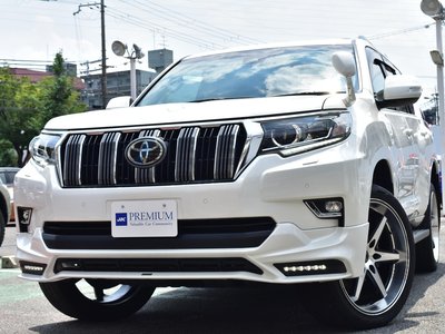2021 Toyota LAND CRUISER PRADO — фото 15