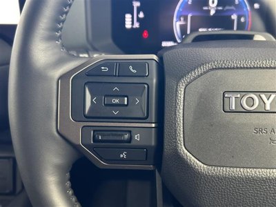 2024 Toyota LAND CRUISER 250 photo 10