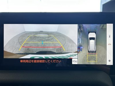 2024 Toyota LAND CRUISER 250 photo 5
