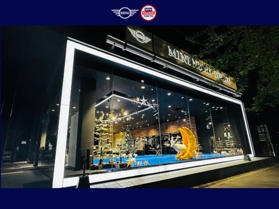 صورة 133 لـ 2024 MINI COOPER ACE MAN